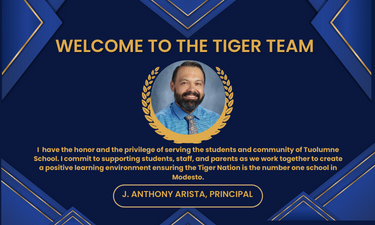 Welcome To The Tiger Team 