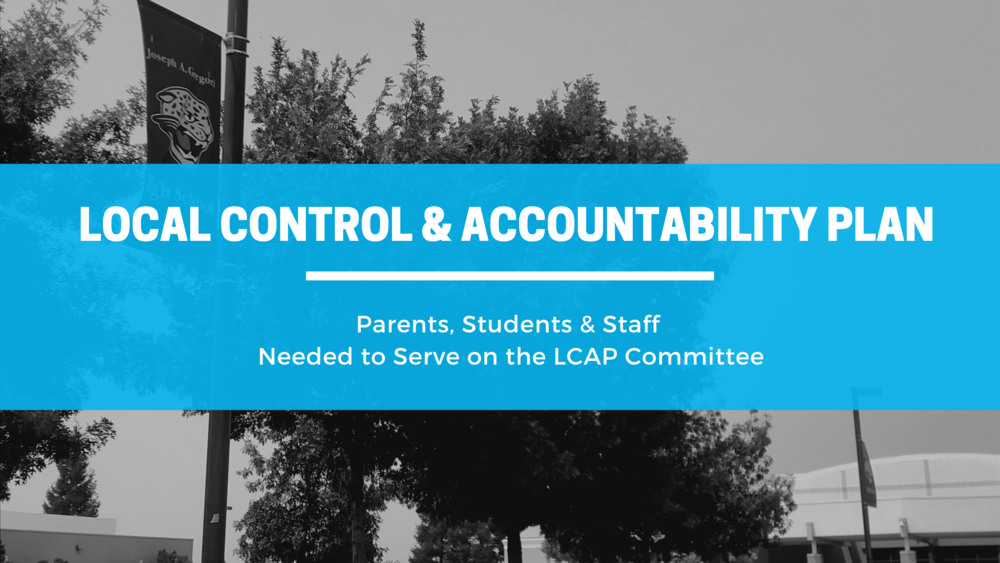 Local Control & Accountability Plan - LCAP